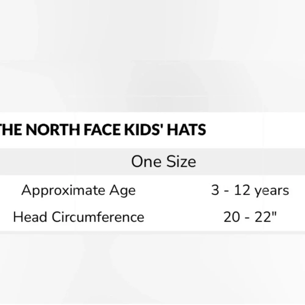NWT The North Face Unisex Kids Youth/Junior Pom Beanie Hat